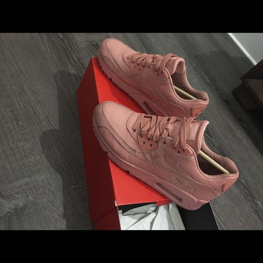 Air Max 90 Pinnacle